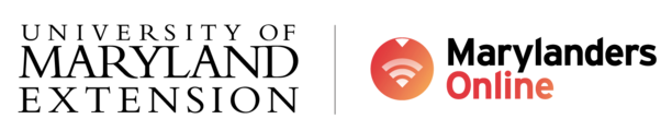TechExtension
