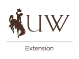 Extension